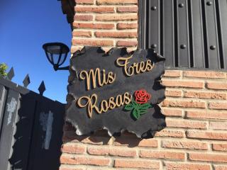 Mis Tres Rosas - La Barca de la Florida - 0