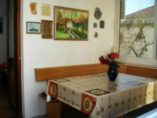 Apartments with a parking space Vodice - 13769 - 2