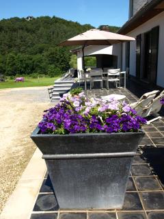 Studio & Appartement au Lac - Sart-lez-Spa - 7
