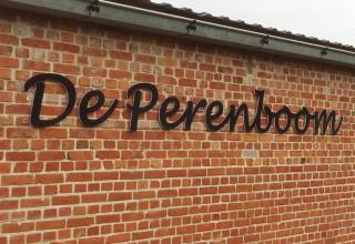 De Perenboom - Belsele - 7