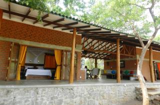 The Ibis - Wilpattu - Puttalam - 9