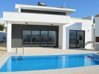 Modern villa with private swimming pool - Famalicão - 0