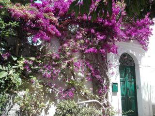 Il Gelso - Anacapri - 0