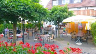 Hotel Landgasthof Grüner Baum - Hochdorf - 2