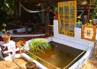 Namaste Yoga Farm - 1