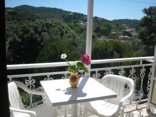 Bellina Studios - Agia Paraskevi - 9