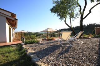 Azienda Agricola I Colli di Marliano - Lastra a Signa - 4