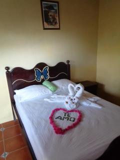 Ecolodge Blue Morpho - 1