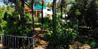 B&B Al Cavalluccio Marino - Montemarcello - 1