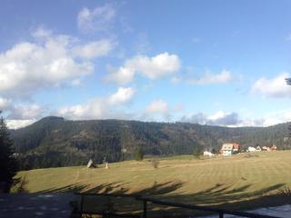 Chalet The Best View - Vlasic - 8