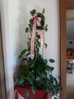 Haus Galler - Urlaub am Bauernhof - Bad Aussee - 3