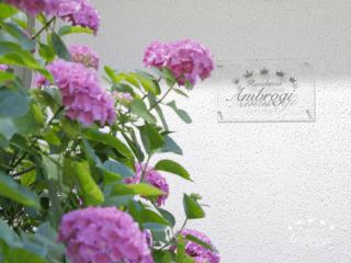 Residenza Ambrogi - Urbino - 3