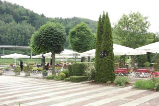 Elbhotel Bad Schandau - Bad Schandau - 7
