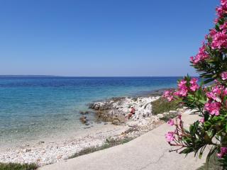 Apartment Marina - Silba - 4