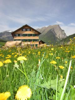 Jokelehof - Au im Bregenzerwald - 0