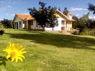 Hospedaje y Zona de Camping Pistacho - 0