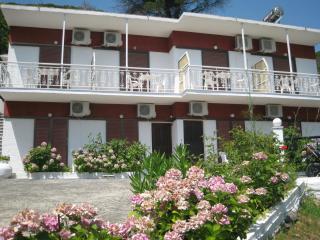 Bellina Studios - Agia Paraskevi - 3