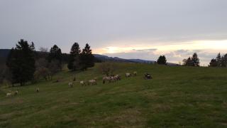 Pension & Gasthof "Am Park" UG - 0