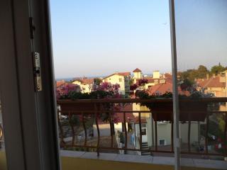 Guest house Stoyanovi - 8