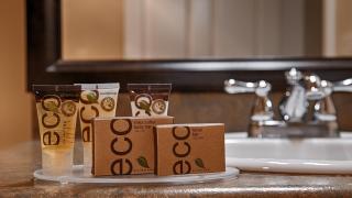 Marshall Suites Bainbridge Island, SureStay Collection by BW - Bainbridge - 1