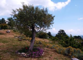 B&B La Montagna Rosa - Castelnuovo - 7