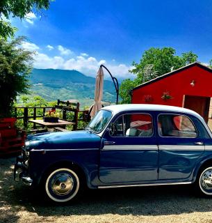 Agriturismo Montagnola Abruzzo - Casalanguida - 4