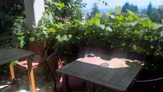 Pension Stejeris - Brasov - 4