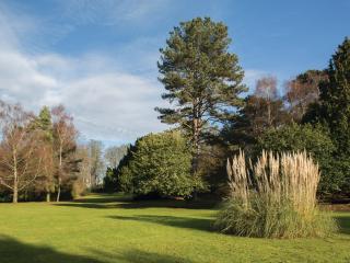Brandshatch Place & Spa - Dartford - 2