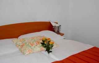 Penzion Pri Slovenc - Dol pri Ljubljani - 5