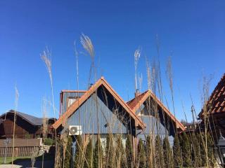 Sunny cottage - Palanga - 0