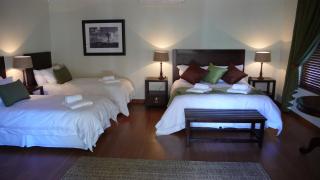 Honeylocust Guesthouse - Colesberg - 5