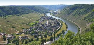 Weinhotel Sonnenschein - 9