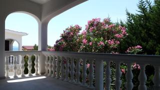 Apartment Robić - Vir - 0