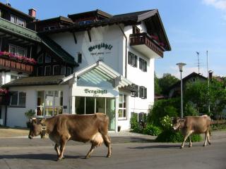 Bergidyll - Oberstdorf - 3