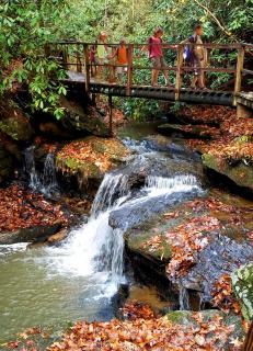 Green Mountain Park - Lenoir - 9