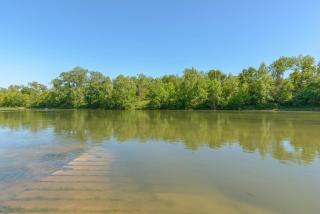 Colorado River RV Campground - Columbus - 9