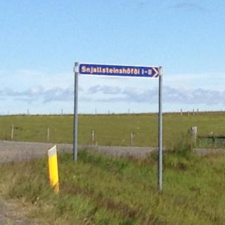 Guest House Svetlana - 5