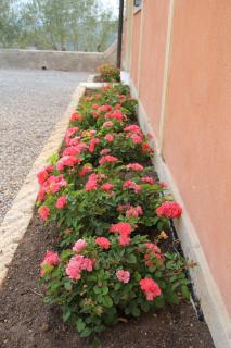 Relais Villa Ambrosetti - Verona - 5