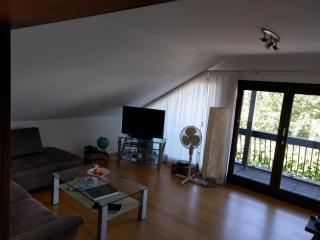 Ferienwohnung Hachenburg - Hachenburg - 9