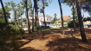 B&B Solepineta - Matino - 5