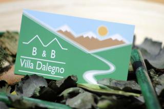 B&B Villa Dalegno - Temù - 0
