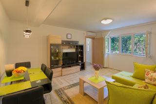 Apartment Mistovic - 2