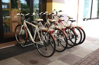 Hotel Spresiano - 3