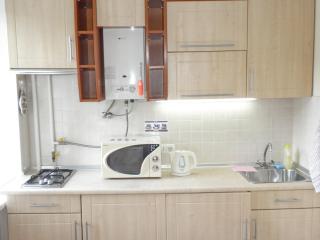 Apartment on Nimanska 5 - Kyiv - 3