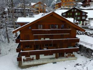 Roossi-Huus 2 - Wengen - 8