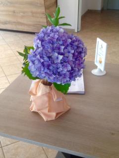 Spazio Gran Paradiso Guest House - Alpette - 8
