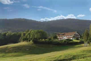 Wild-Berghof Buchet - Bernried - 5