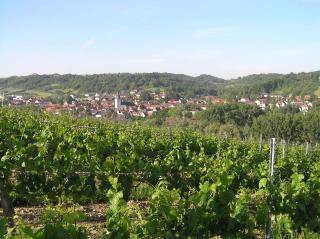 Ferienwohnung Am Alten Berg - Ochsenfurt - 7