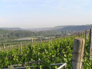 Ferienwohnung Am Alten Berg - Ochsenfurt - 6