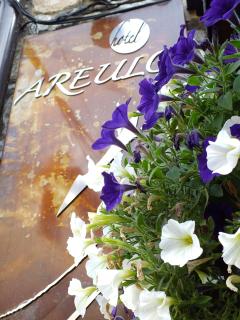 Hotel Areulo - Cerler - 9